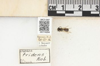 Media type: image;   Entomology 774094 Aspect: Labels